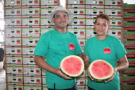 Sandía - 	POTUGA FRUIT COMPANY, S.A